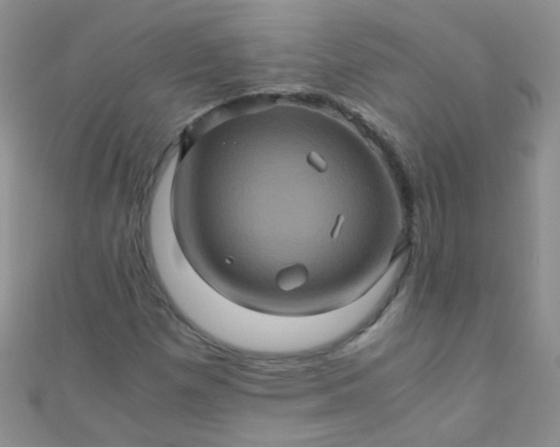 X0000110991257200907022109
