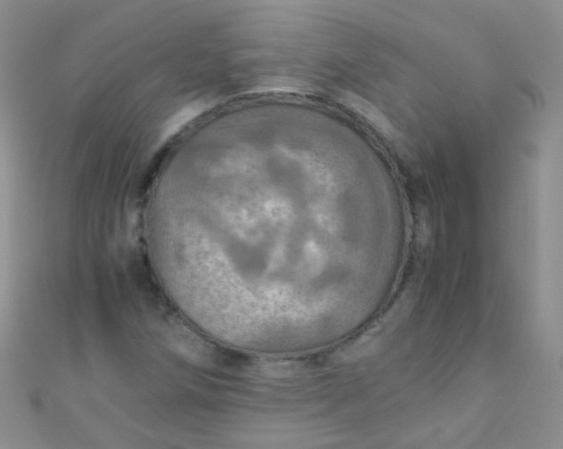 X0000110991258200907022109