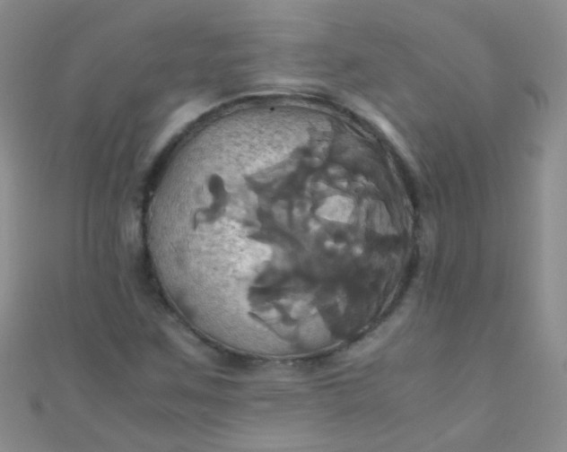 X0000110991259200907022109