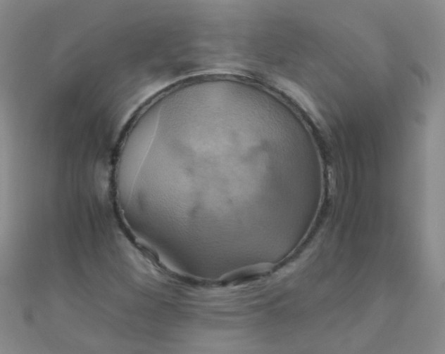 X0000110991260200907022109