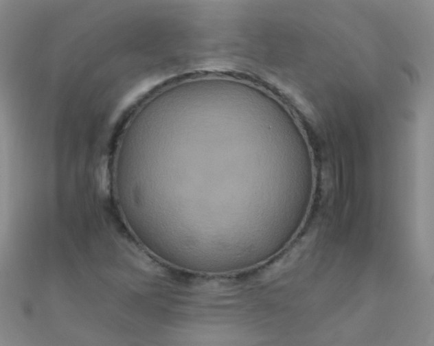 X0000110991262200907022109