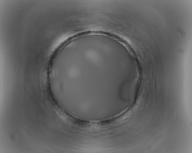 X0000110991263200907022109