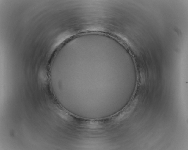 X0000110991266200907022109
