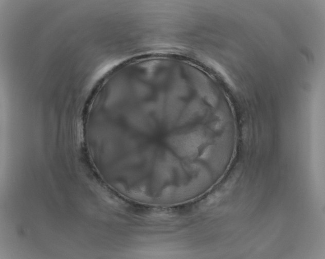 X0000110991267200907022109