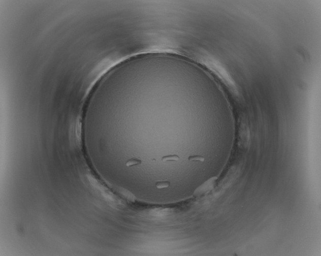X0000110991268200907022109