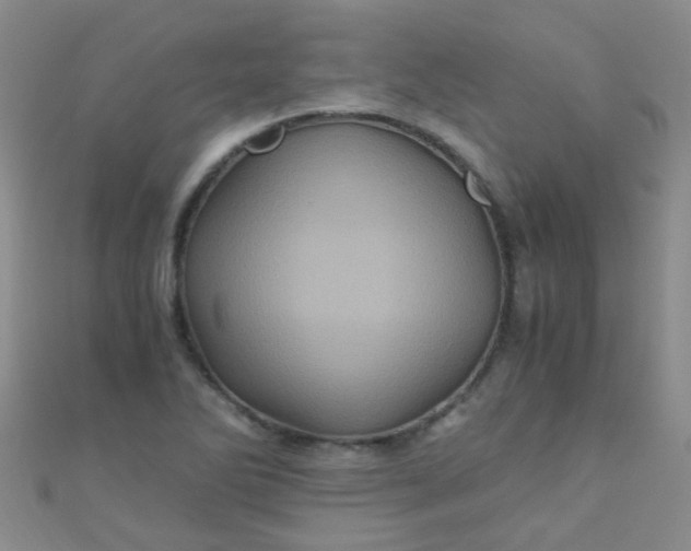 X0000110991270200907022109