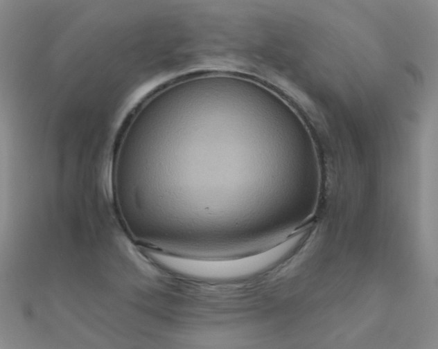 X0000110991272200907022109