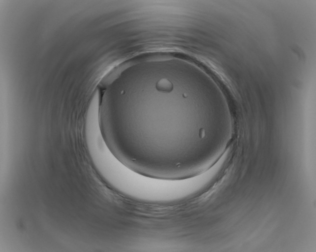 X0000110991273200907022109