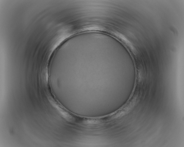 X0000110991274200907022109
