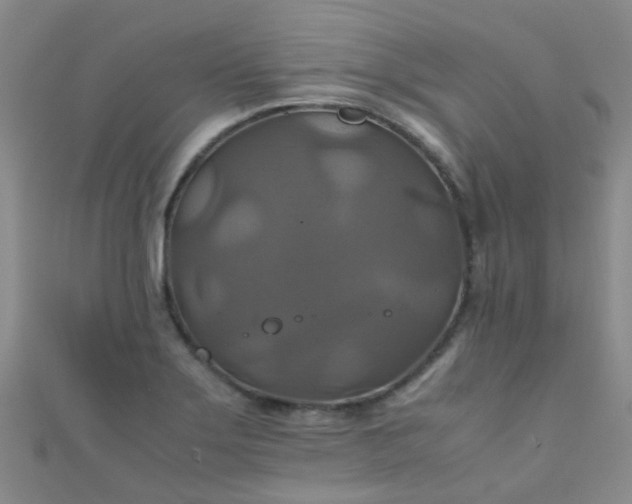 X0000110991275200907022109