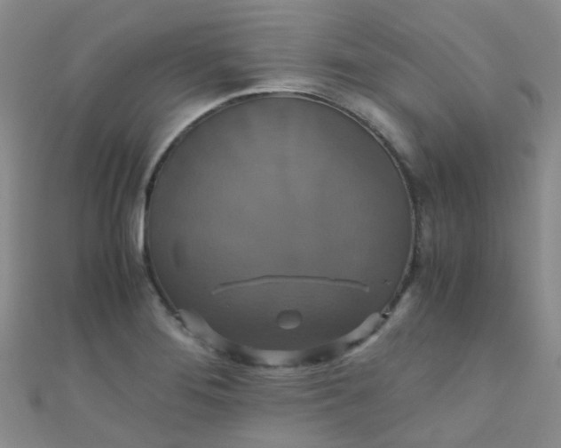 X0000110991276200907022109