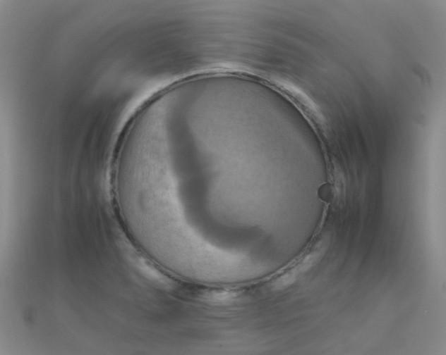 X0000110991278200907022109