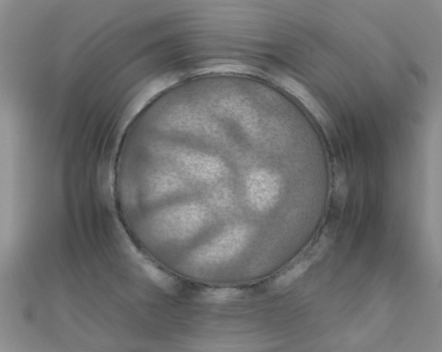 X0000110991282200907022109