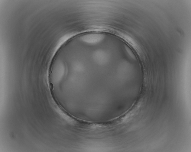 X0000110991283200907022109