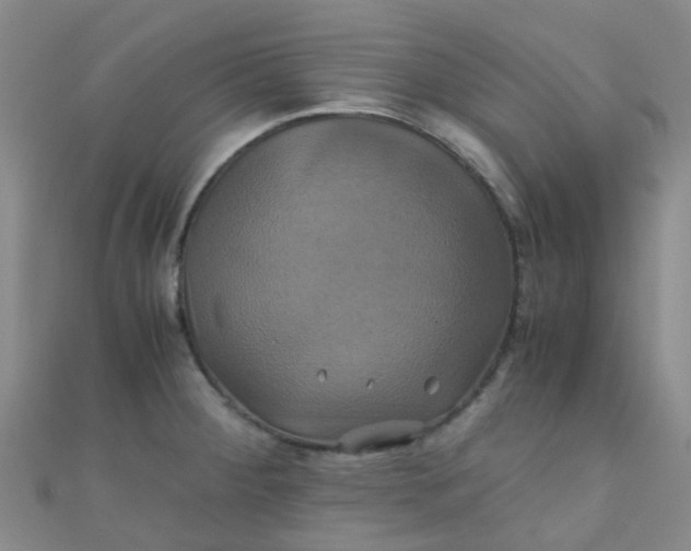 X0000110991284200907022109