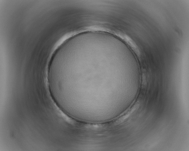 X0000110991286200907022109