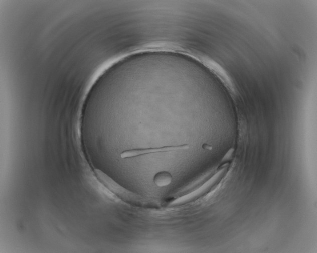 X0000110991288200907022109