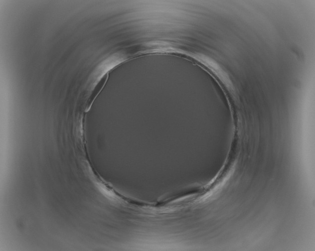 X0000110991289200907022109