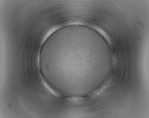 X0000110991290200907022109