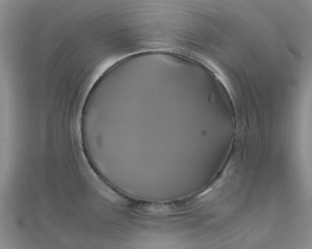 X0000110991291200907022109