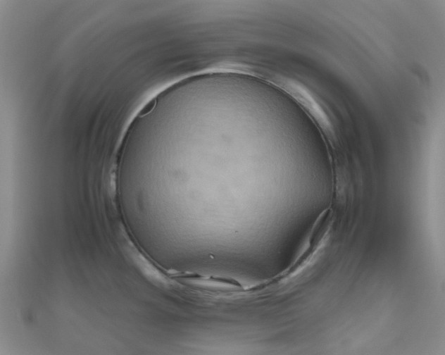 X0000110991292200907022109