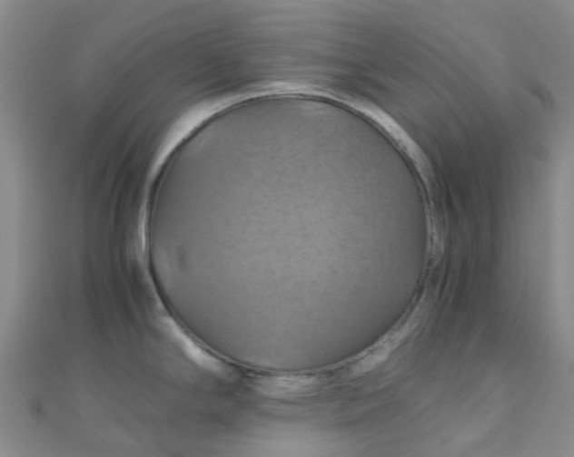 X0000110991294200907022109