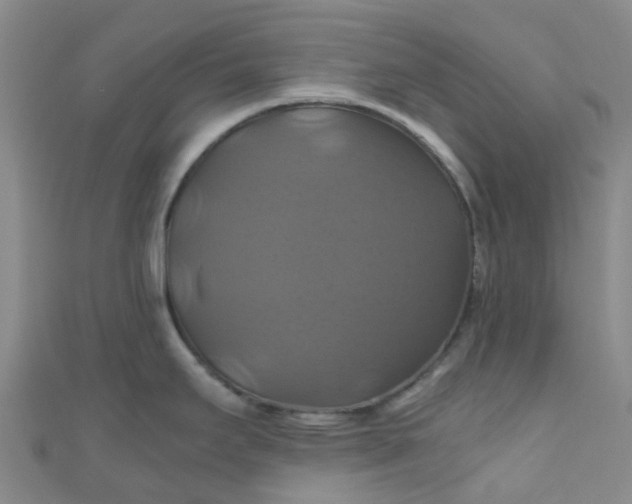 X0000110991295200907022109