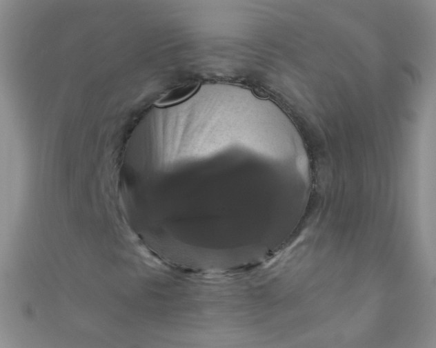 X0000110991297200907022108