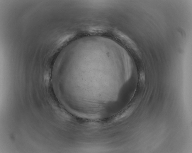 X0000110991300200907022108