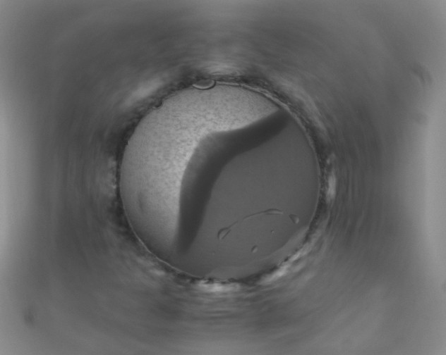 X0000110991301200907022108