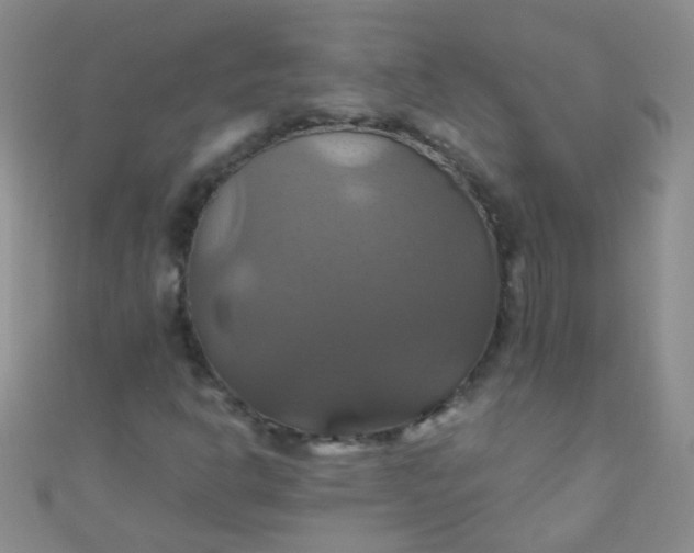 X0000110991302200907022108