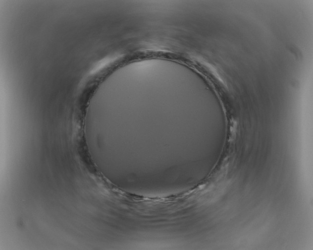 X0000110991303200907022108