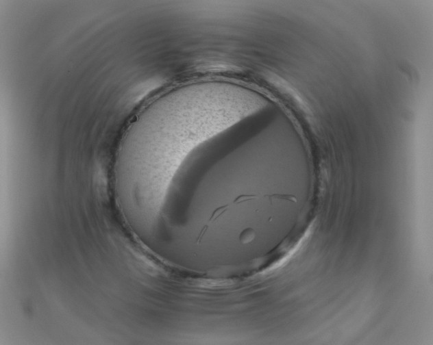 X0000110991305200907022108