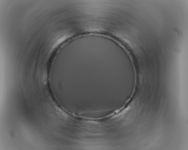 X0000110991306200907022108
