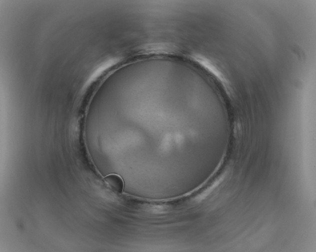 X0000110991309200907022108