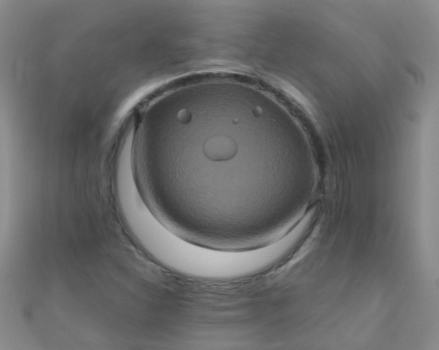 X0000110991310200907022108