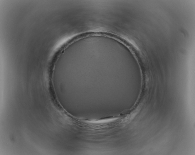 X0000110991311200907022108