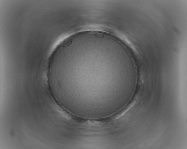 X0000110991312200907022109