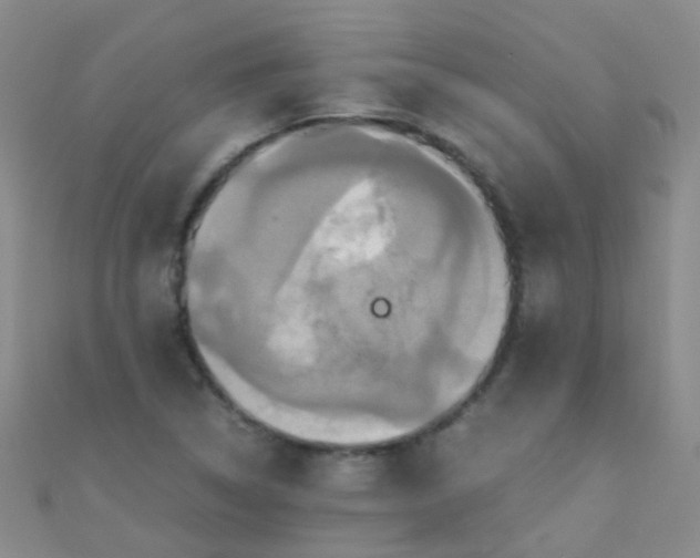 X0000110991314200907022109