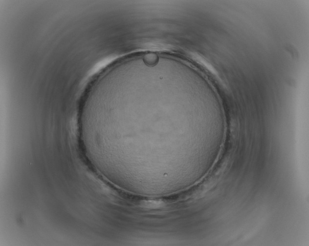 X0000110991315200907022109