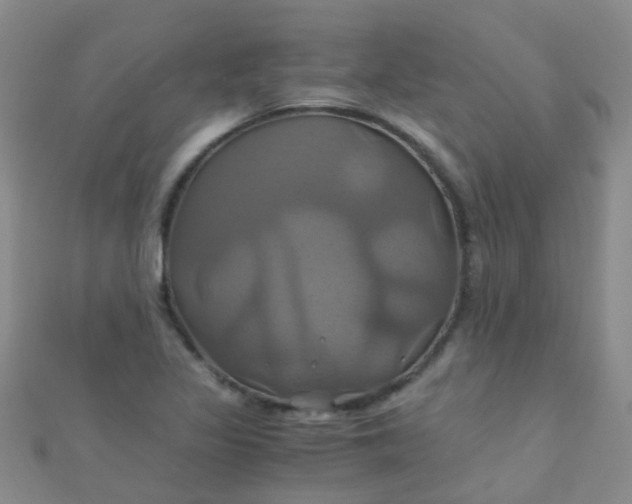 X0000110991317200907022109