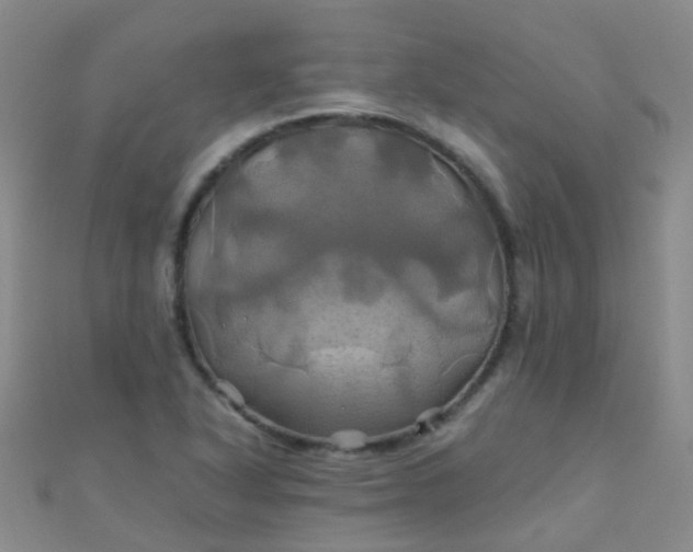 X0000110991318200907022109