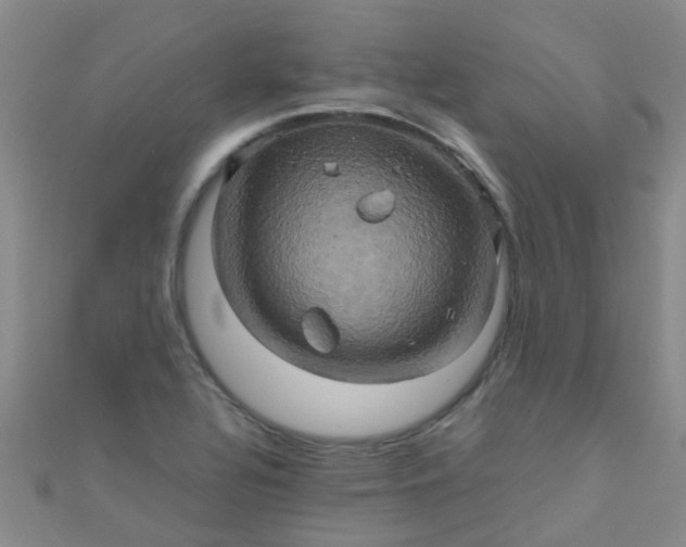 X0000110991320200907022109