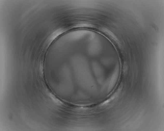 X0000110991321200907022109