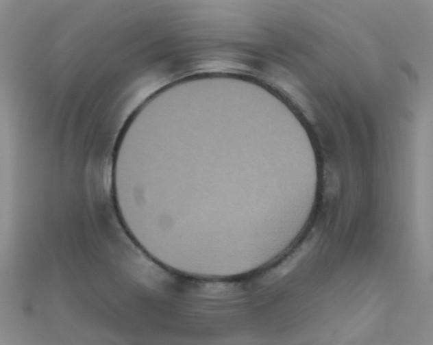 X0000110991322200907022109