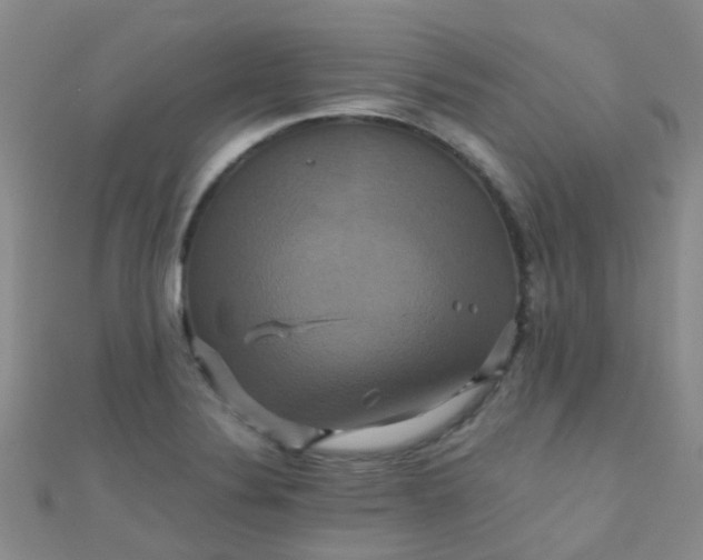 X0000110991324200907022109
