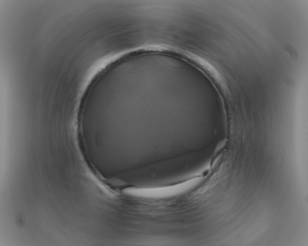X0000110991327200907022109