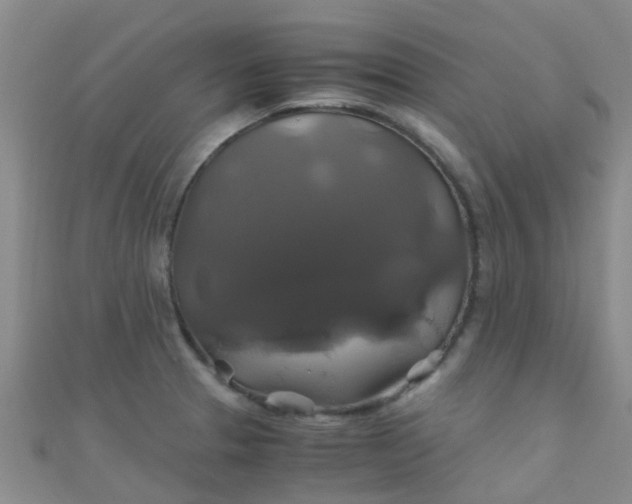 X0000110991329200907022109