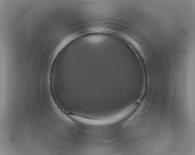 X0000110991330200907022109