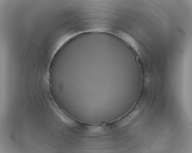 X0000110991332200907022109